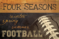 MA771GP - Four Seasons Football II