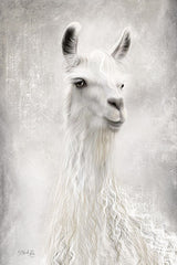 MAZ5486 - Lulu the Llama Up Close - 12x18