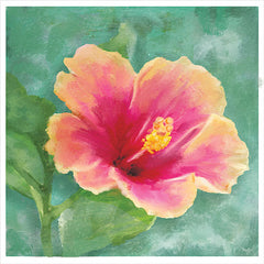 MOL2037 - Hibiscus I - 12x12