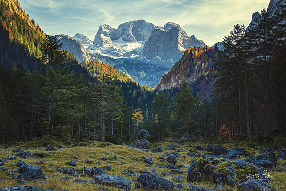 Martin Podt MPP363 - Magnificence - Mountains, Rocks, Trees, Forest from Penny Lane Publishing