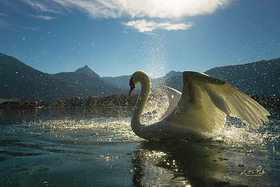 Martin Podt MPP366 - Elegance - Swan, Lake, Mountains from Penny Lane Publishing