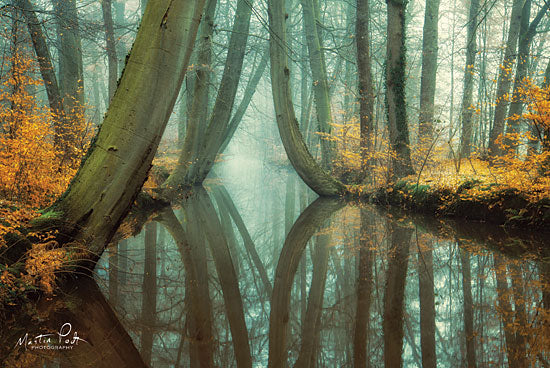 Martin Podt MPP378 - Lust for Life - Trees, Forest, Reflection, Creek from Penny Lane Publishing