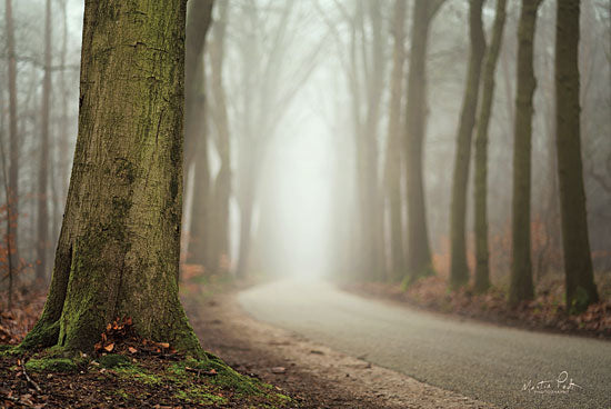 Martin Podt MPP385 - Focus on What You Want Trees, Path, Forest, Woods, Path, Sunlight from Penny Lane