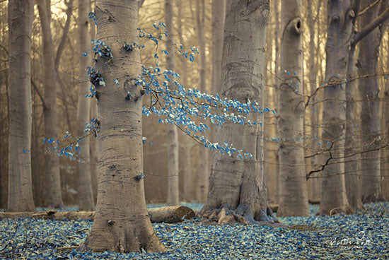 Martin Podt MPP386 - Winter Blues Trees, Birch, Winter, Forest, Woods from Penny Lane