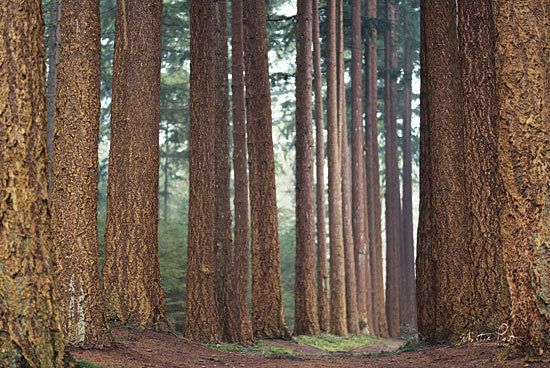Martin Podt MPP387 - Bars Trees, Forest, Woods from Penny Lane