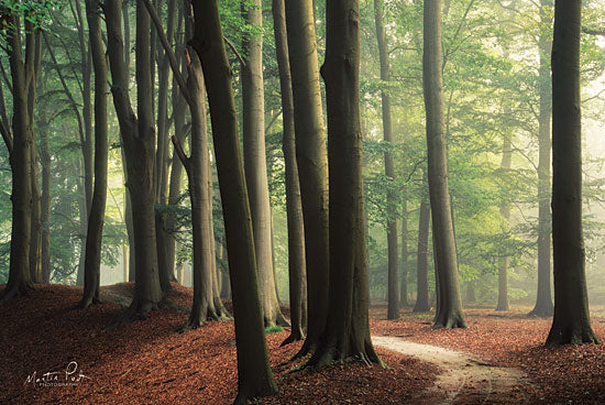 Martin Podt MPP389 - In the Curve Trees, Forest, Woods, Path, Leaves from Penny Lane