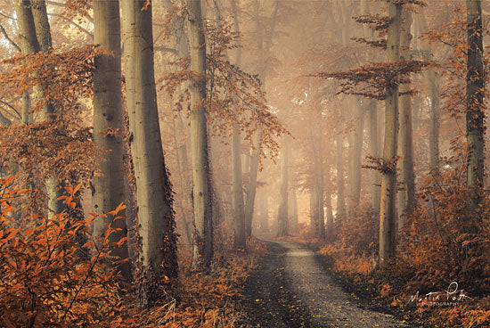 Martin Podt MPP390 - Brown Beauty Trees, Woods, Forest, Autumn, Leaves, Path from Penny Lane