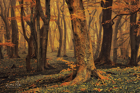 Martin Podt MPP397 - Sweet Dreams Trees, Forest, Woods, Leaves, Autumn from Penny Lane
