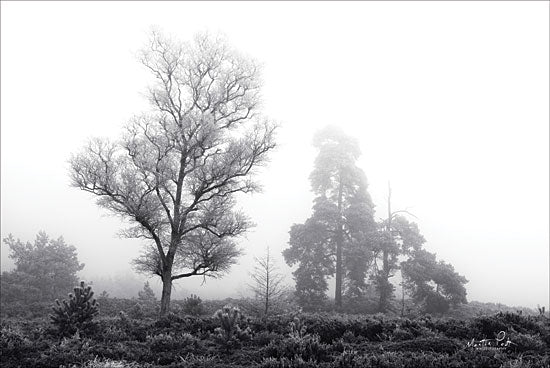 Martin Podt MPP400 - Less is More Trees, Field, Black & White from Penny Lane