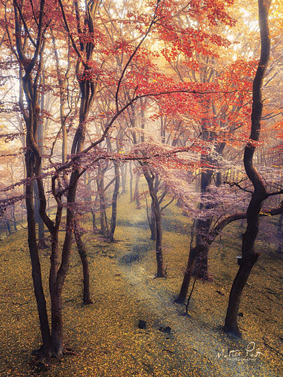 Martin Podt MPP428 - High Up in the Trees Path, Trees, Autumn, Leaves, Sunlight from Penny Lane