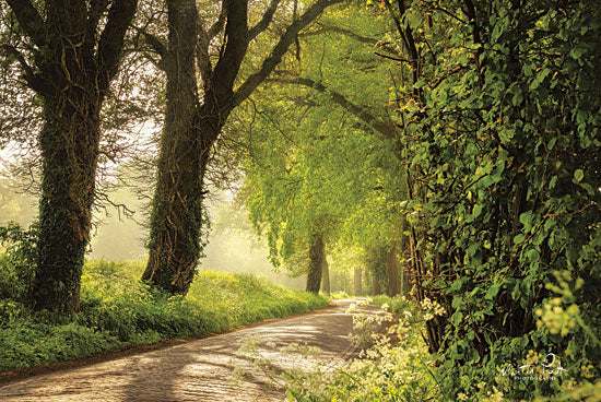 Martin Podt MPP437 - Lente in Twente Trees, Path, Vines, Forest from Penny Lane