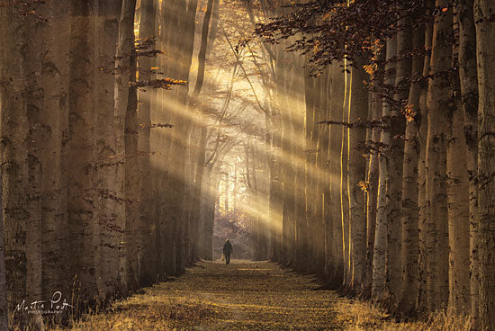 Martin Podt MPP444 - Walking the Dog Again Birch Trees, Trees, Forest, Figure from Penny Lane