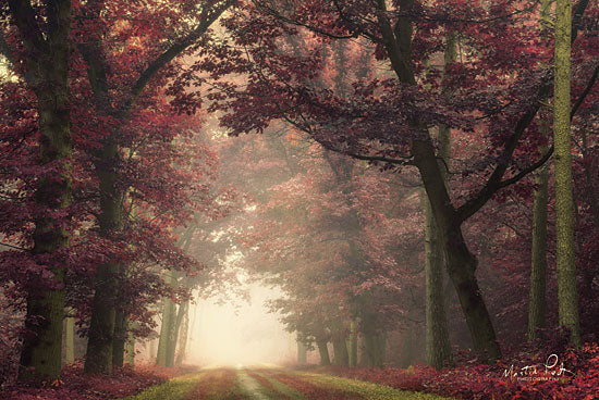 Martin Podt MPP465 - Dark Mystery Trees, Purple Leaves, Autumn, Path, Sunlight from Penny Lane