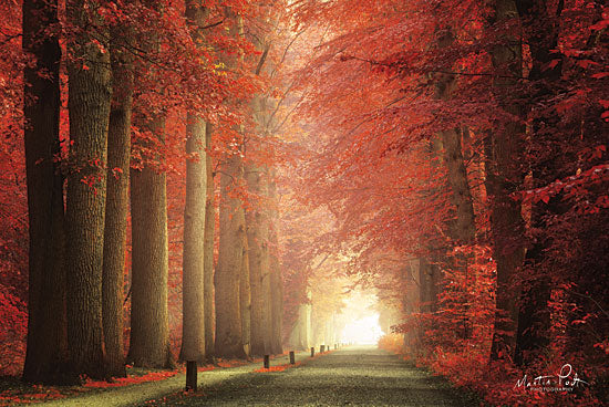 Martin Podt MPP490 - MPP490 - Way to Red           - 18x12 Trees, Pathway, Fall, Photography from Penny Lane