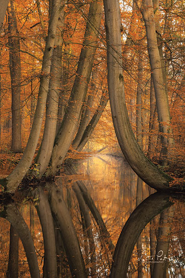Martin Podt MPP510 - The Bent Ones - 12x18 Trees, Stream, Creek, Autumn, Forest, Landscape from Penny Lane