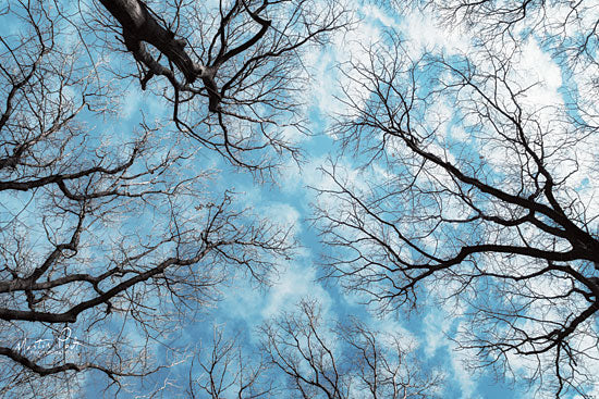 Martin Podt MPP517 - Reaching for the Sky - 18x12 Reaching for the Sky, Trees, Photography, Blue Sky from Penny Lane