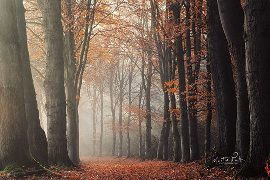 Martin Podt MPP524 - Around the Corner - 18x12 Trees, Autumn, Leaves, Path, Forest from Penny Lane