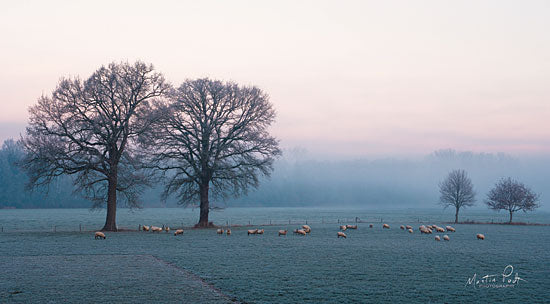 Martin Podt MPP537 - MPP537 - Sheep on a Cold Morning - 18x9 Photography, Sheep, Grazing, Trees, Farm, Field from Penny Lane