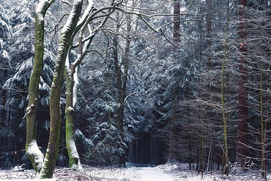 Martin Podt MPP540 - MPP540 - Gate to the Dark World - 18x12 Photography, Trees, Path, Road, Winter, Snow from Penny Lane