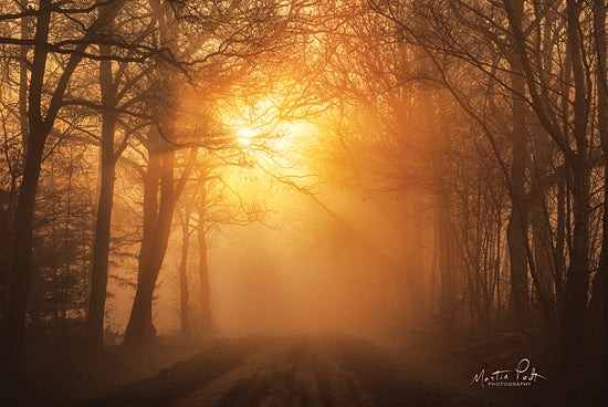 Martin Podt MPP565 - MPP565 - Misty Sunrise - 18x12 Misty Sunrise, Trees, Forest, Path, Photography from Penny Lane