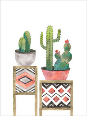 MS131 - Cactus Tables with Coral