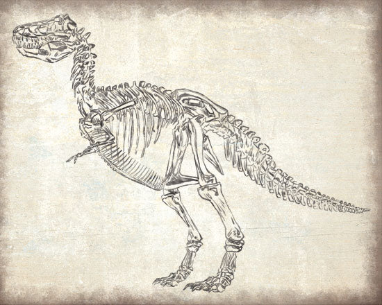 Masey St. Studios MS136 - T-Rex Skeleton T-Rex, Dinosaur, Sketch, Drawing, Kid's Art from Penny Lane