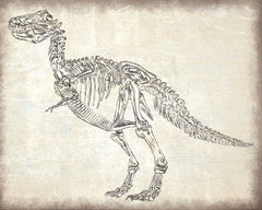 MS136 - T-Rex Skeleton