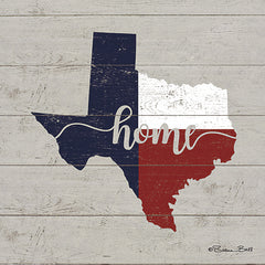 SB547 - Texas Home - 12x12